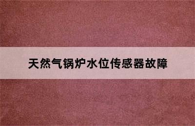 天然气锅炉水位传感器故障