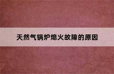 天然气锅炉熄火故障的原因