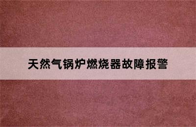 天然气锅炉燃烧器故障报警