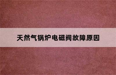 天然气锅炉电磁阀故障原因