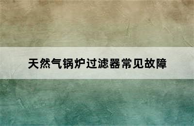 天然气锅炉过滤器常见故障