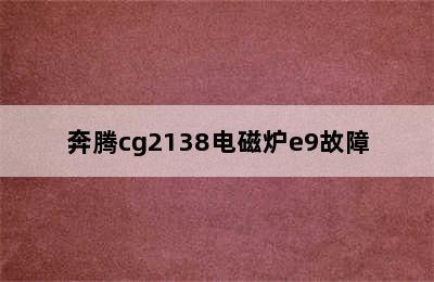 奔腾cg2138电磁炉e9故障