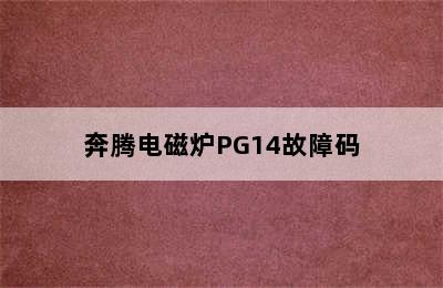 奔腾电磁炉PG14故障码