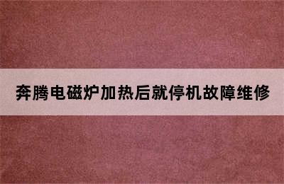 奔腾电磁炉加热后就停机故障维修