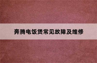 奔腾电饭煲常见故障及维修