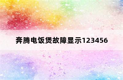 奔腾电饭煲故障显示123456