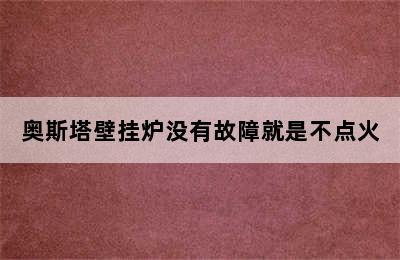 奥斯塔壁挂炉没有故障就是不点火