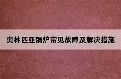 奥林匹亚锅炉常见故障及解决措施