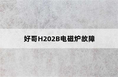 好哥H202B电磁炉故障