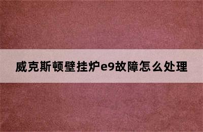 威克斯顿壁挂炉e9故障怎么处理