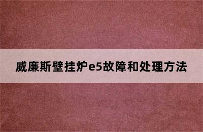 威廉斯壁挂炉e5故障和处理方法