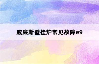 威廉斯壁挂炉常见故障e9