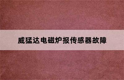 威猛达电磁炉报传感器故障