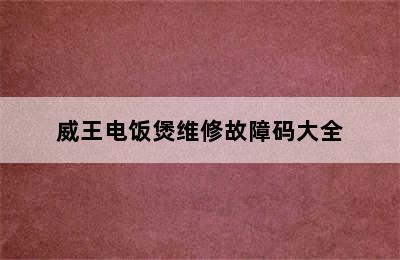 威王电饭煲维修故障码大全