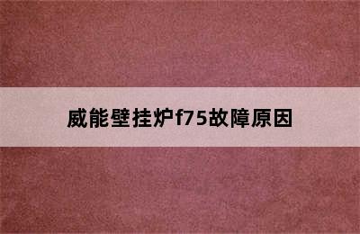 威能壁挂炉f75故障原因