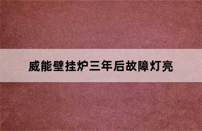 威能壁挂炉三年后故障灯亮