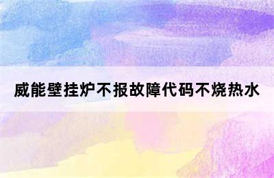 威能壁挂炉不报故障代码不烧热水