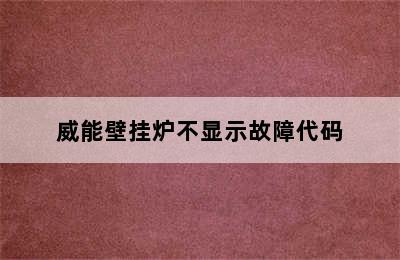 威能壁挂炉不显示故障代码