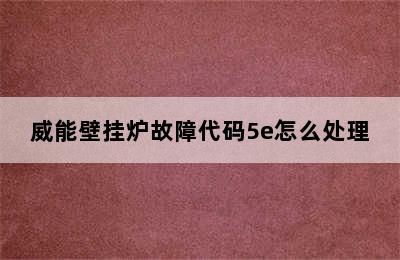 威能壁挂炉故障代码5e怎么处理