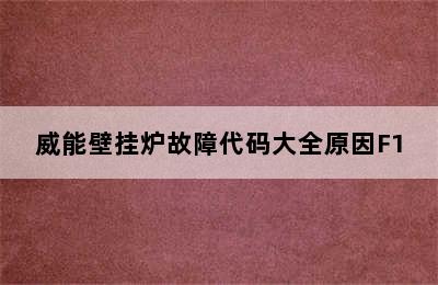 威能壁挂炉故障代码大全原因F1