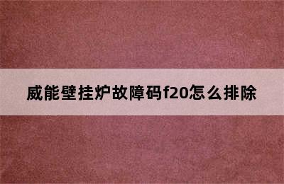 威能壁挂炉故障码f20怎么排除