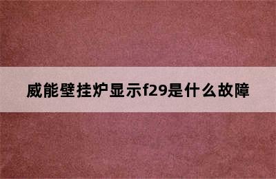 威能壁挂炉显示f29是什么故障