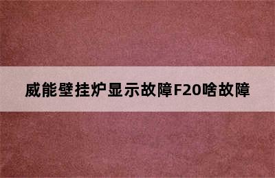 威能壁挂炉显示故障F20啥故障