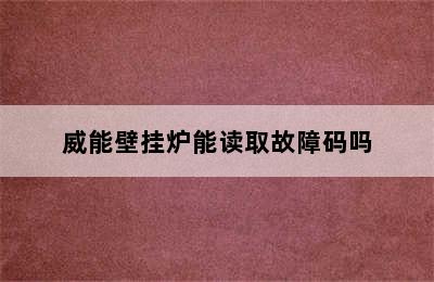 威能壁挂炉能读取故障码吗