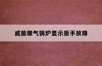 威能暖气锅炉显示扳手故障