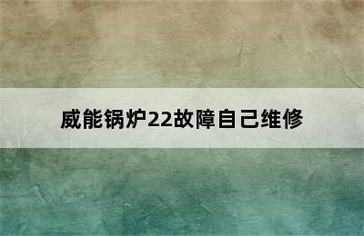 威能锅炉22故障自己维修