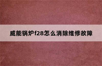 威能锅炉f28怎么消除维修故障