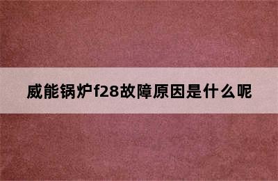 威能锅炉f28故障原因是什么呢