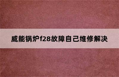 威能锅炉f28故障自己维修解决