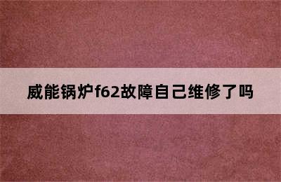 威能锅炉f62故障自己维修了吗