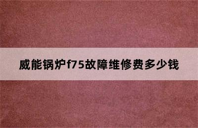 威能锅炉f75故障维修费多少钱