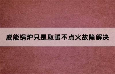 威能锅炉只是取暖不点火故障解决