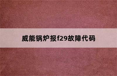 威能锅炉报f29故障代码