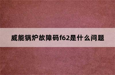 威能锅炉故障码f62是什么问题