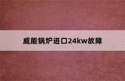 威能锅炉进口24kw故障