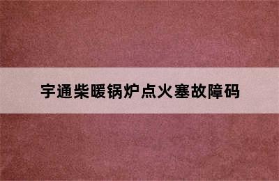 宇通柴暖锅炉点火塞故障码