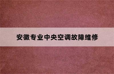 安徽专业中央空调故障维修