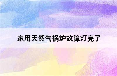 家用天然气锅炉故障灯亮了