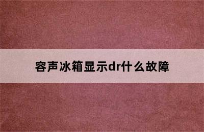 容声冰箱显示dr什么故障