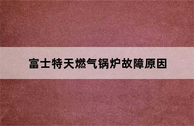 富士特天燃气锅炉故障原因