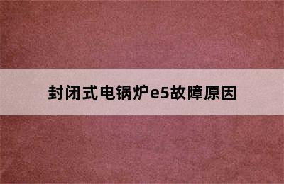 封闭式电锅炉e5故障原因