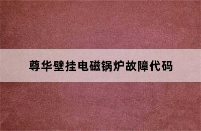 尊华壁挂电磁锅炉故障代码