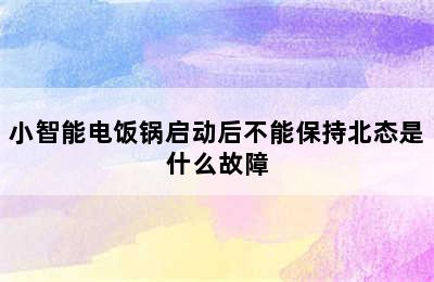 小智能电饭锅启动后不能保持北态是什么故障