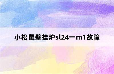 小松鼠壁挂炉sl24一m1故障