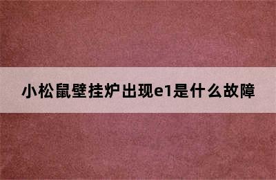 小松鼠壁挂炉出现e1是什么故障