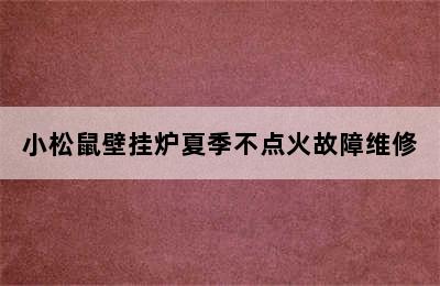 小松鼠壁挂炉夏季不点火故障维修